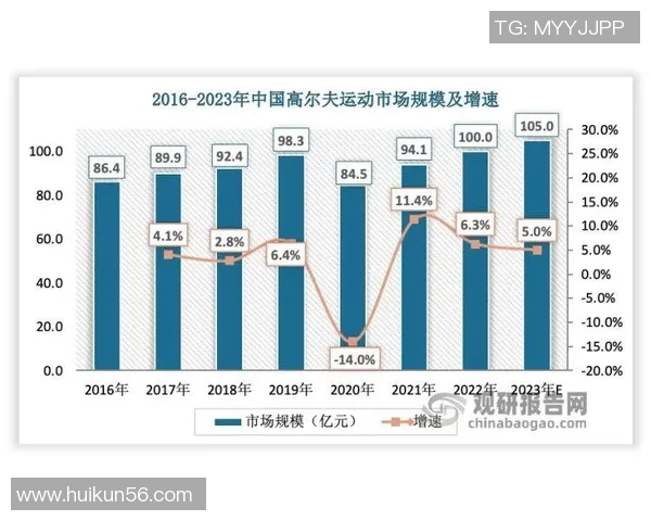 武汉羽毛球队比赛经验深度对比分析与其他队伍的差异与启示